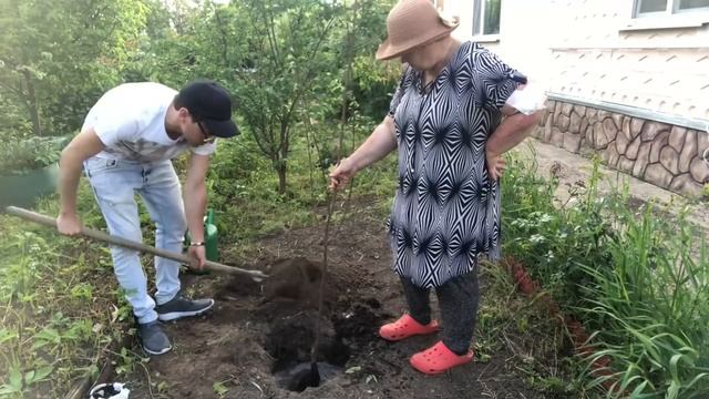 Миняева Юлия и Илья Миняев/ КАКОЕ ДЕРЕВО НЕ ЛЮБИТ ОДИНОЧЕСТВО / Семейные Посиделки смотреть онлайн