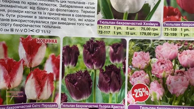 Покупки из ИНТЕРФЛОРЫ #луковичныецветы смотреть онлайн