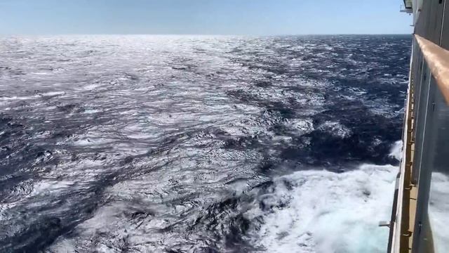 Горничная делала уборку в номере отеля и под одеялом увидела то, от чего потеряла дар речи смотреть онлайн
