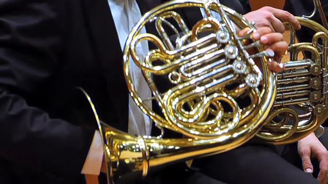 Ludwig Van Beethoven - Symphony No. 3 In E Flat Major, Op. 55 