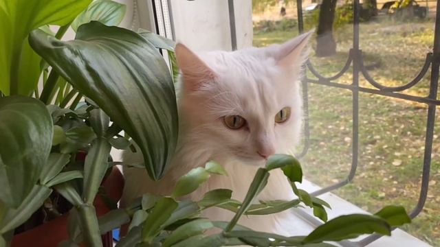 Грустный стих о жизни многих детей смотреть онлайн