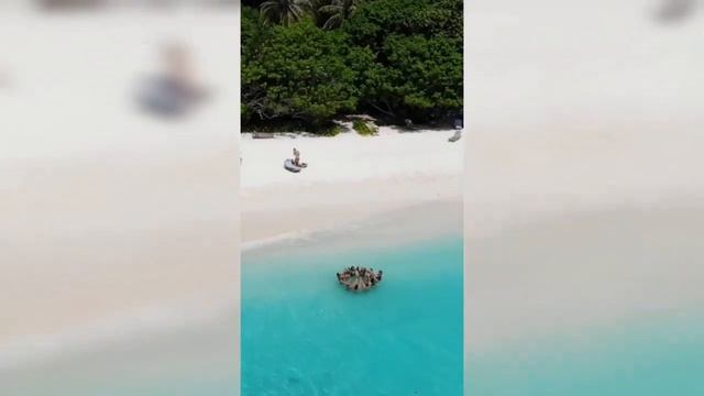 Приглашение в йога тур на Мальдивы смотреть онлайн