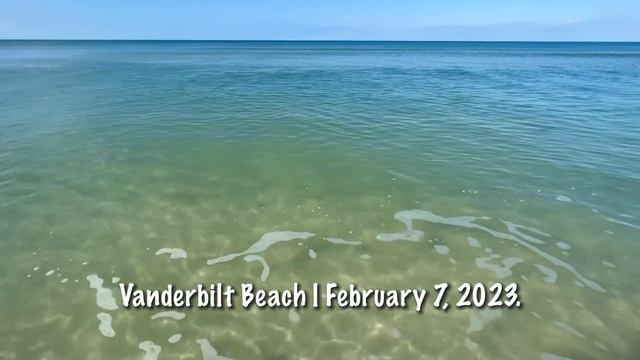 The Beaches in Naples, Florida Are Open (02/08/23) смотреть онлайн