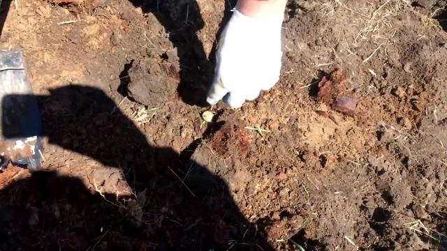 Нычка СЕРЕБРА Часть 3 / Монеты Царской России смотреть онлайн