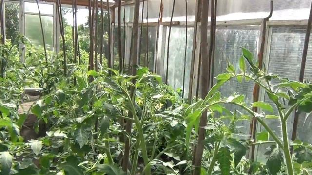 КПР Сок земли