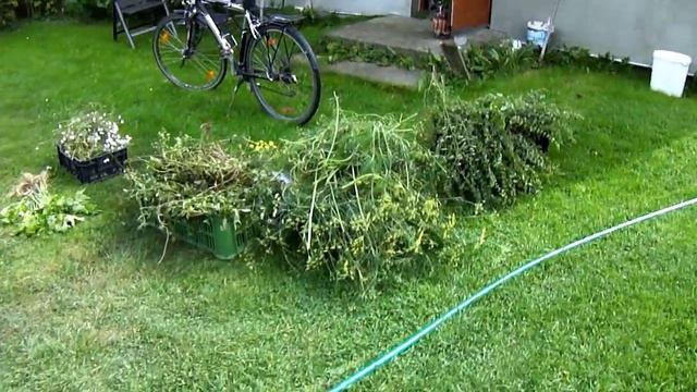 Экскурсия по нашему саду,травяная ванна и мускатные тыквы смотреть онлайн