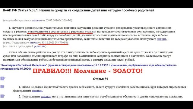 Алименты у самозанятых. Ужесточение ответственности за неуплату алиментов. Алгоритм Защиты. смотреть онлайн