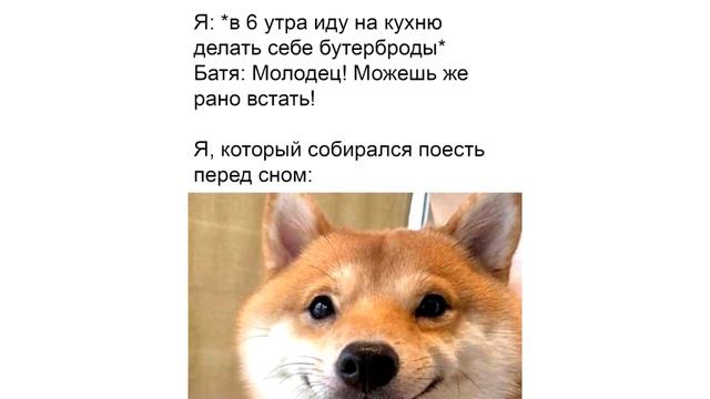 Мемы | Дневная подборка мемов 394 смотреть онлайн