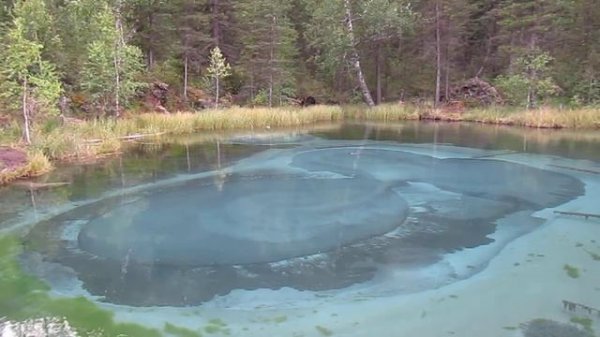 Горный Алтай. Гейзерово озеро в районе Акташа.