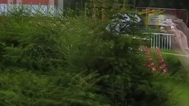 Любовь в кабинке N2 (День молодёжи в г.Заречный) смотреть онлайн