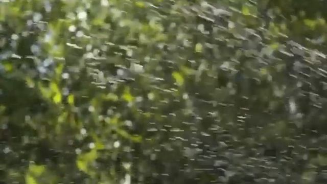 MP Rotator Components смотреть онлайн