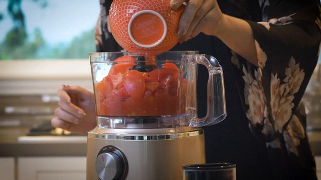 SKY5133 650W Multifunctional Food Processor, Blender, & Grinder w/ 10 Attachments смотреть онлайн