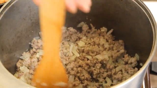 Зоопарк и Дикие Животные