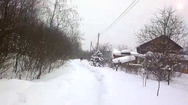 Мотособака (самоделка) смотреть онлайн