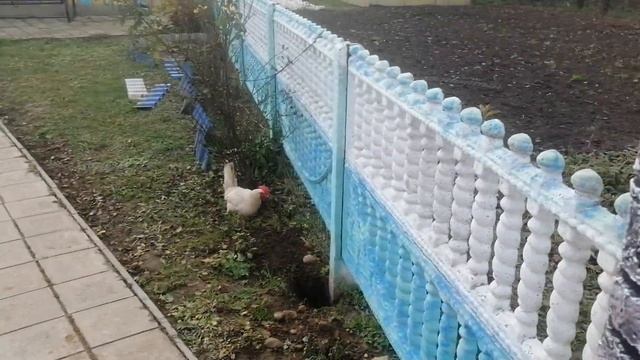 продолжаю строить чюдо сказочный забор? смотреть онлайн