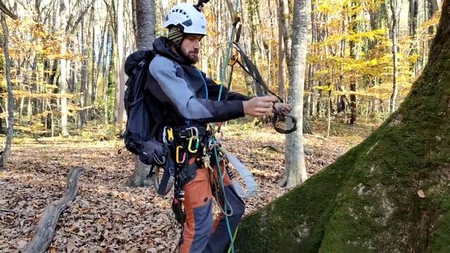 Экспедиция в рамках проекта "Гигантские деревья Кавказа". Обьект: Дуб Черешчатый? СBH 515 cm, H: 41 смотреть онлайн