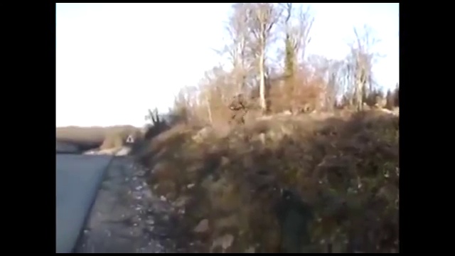 Национальная гвардия Украины смотреть онлайн