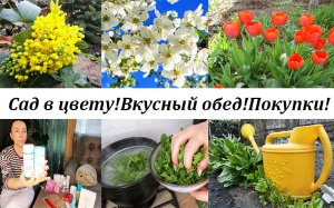 ВЛОГ! Садовые работы! Вкусный обед! Покупки! Уют в доме и в саду!