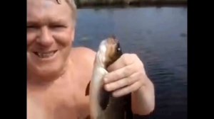 Сборка видео мемов/RYTP/мемы без мата