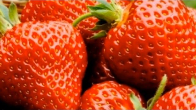 Описание сорта клубники Флоренс