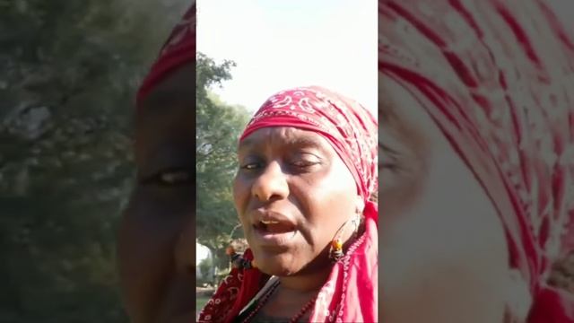 ROOTWORK смотреть онлайн