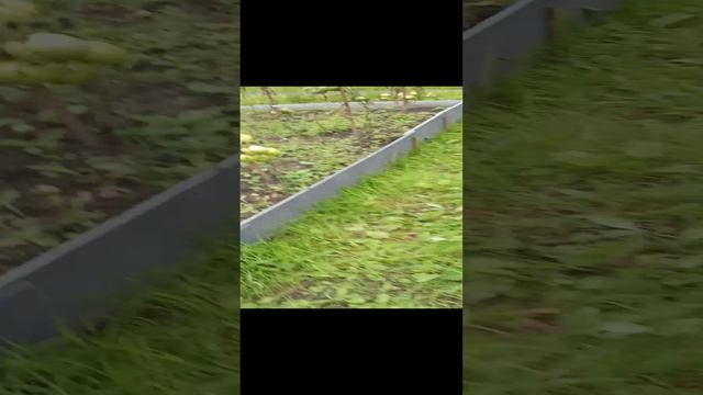 короче арбузики растут смотреть онлайн