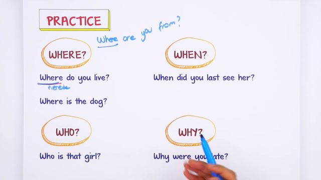 İngilizce Soru Kalıpları - Question Words ❓ смотреть онлайн