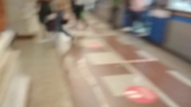 Электропоезд " РУСИЧ ". Станция метро " ПАРК ПОБЕДЫ ". смотреть онлайн