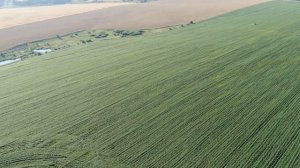 Апальково пруд Орловская область