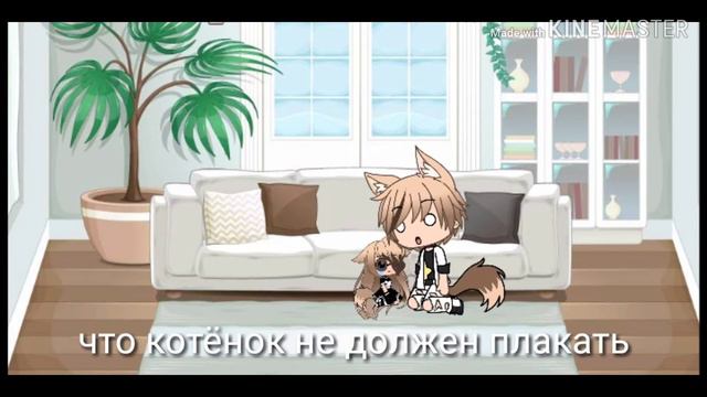 24 часа в теле кошки смотреть онлайн