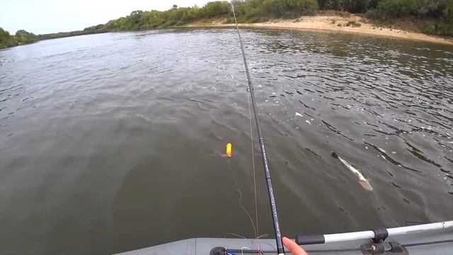 Вот Это ПОКЛЁВКА! С МЕСТА НЕ СДВИГАЕТСЯ!Рыбалка на СПИННИНГ 2020! Ловля щуки и судака осенью НА ДЖИ смотреть онлайн