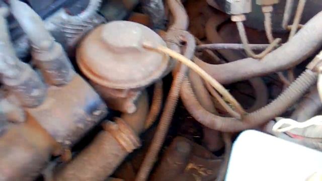 Не работает клаксон дудка,причина.Daewoo Nexia