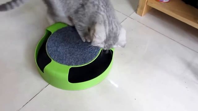 Интерактивная игрушка для кошек Поймай Мышку Catch The Mouse смотреть онлайн