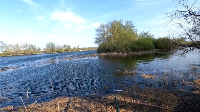Рыбалка на поплавок в Мае.Попал на дикий жор карася в камышах смотреть онлайн