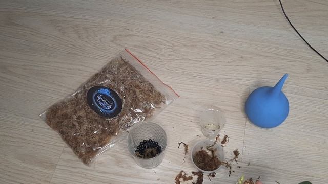 СТИМУЛИРУЮЩАЯ ПОСАДКА ДЛЯ ДЕТОК И ПОДРОСТКОВ ОРХИДЕЙ смотреть онлайн