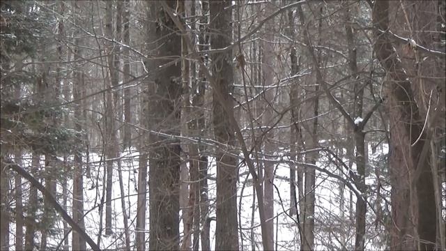 Staying Warm in Winter Without Fire смотреть онлайн