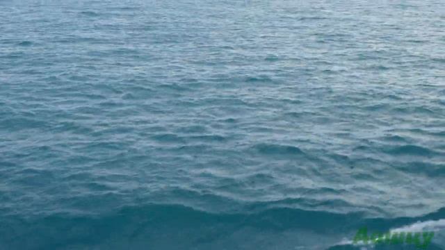 Путешествие на катере из Феодосии к горе Карадаг в 4К Крым 2022 смотреть онлайн