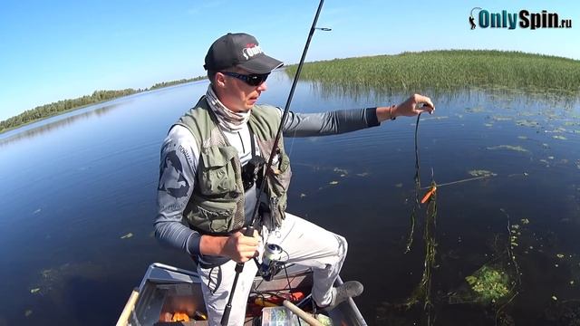 Щука в кувшинках #OnlySpin смотреть онлайн