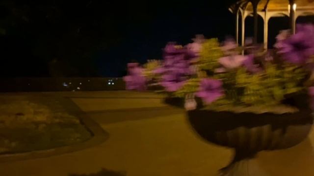Пошла гулять ночью по Киеву, Азиз остался дома?Киев ночью особенно интересный и завораживает?Тусня смотреть онлайн