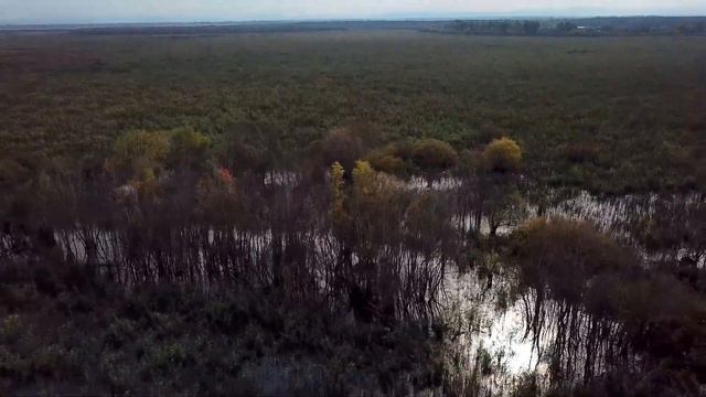 Аул Афисип , устье реки Афипс у Шапсугского водохранилища смотреть онлайн