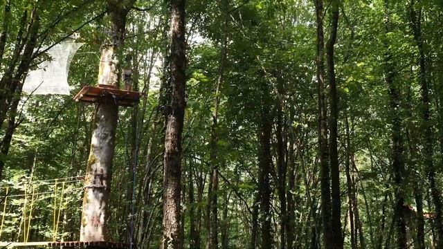 Верёвочный парк в горах Курорта Красная Поляна смотреть онлайн