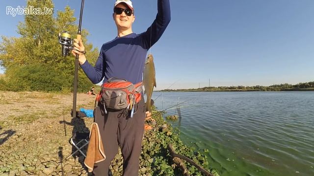 Ловля крупной тарани на Дону смотреть онлайн