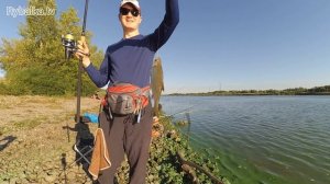 Ловля крупной тарани на Дону