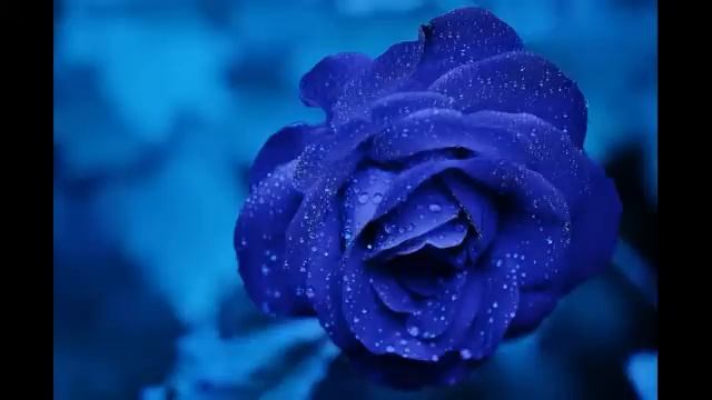 Ошо. Зеркало просветления, озвучивает [Nikosho] смотреть онлайн