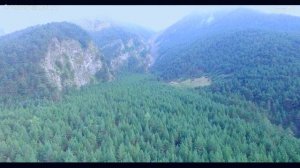 АХТЫ  Хрюгский лес