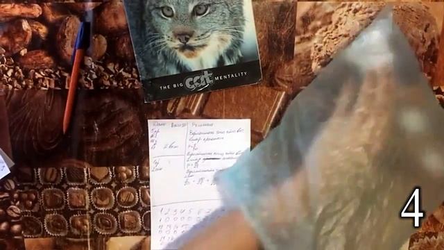 ДВА ШАРА? ТЕОРИЯ ВЕРОЯТНОСТИ смотреть онлайн