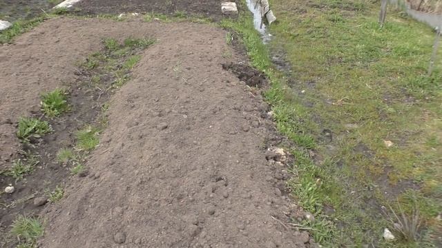 Много ли надо человеку для счастья! Дачный влог Вторые майские смотреть онлайн