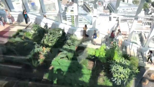 Sky Garden, все синие! смотреть онлайн