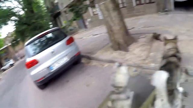 пьяная кошка нападает на собак 2 смотреть онлайн