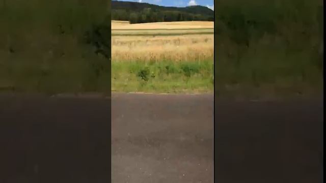 Suzuki TS 250X | Driving around a bit :) | HD смотреть онлайн